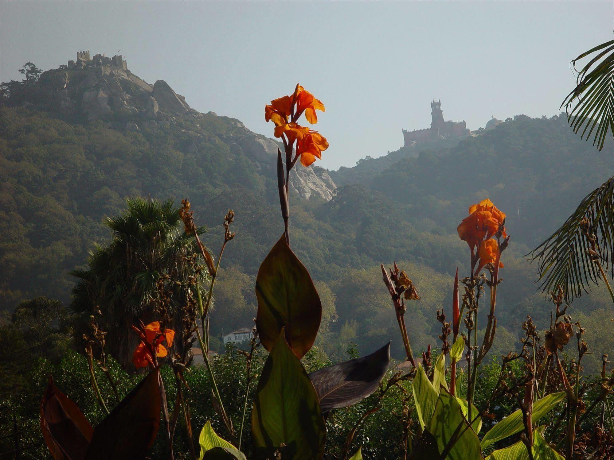 Casa Do Valle Sintra Zewnętrze zdjęcie